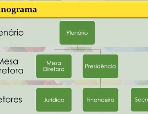 organograma-da-camara.jpeg